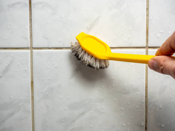 Best Mold Remediation  in Portland, ME