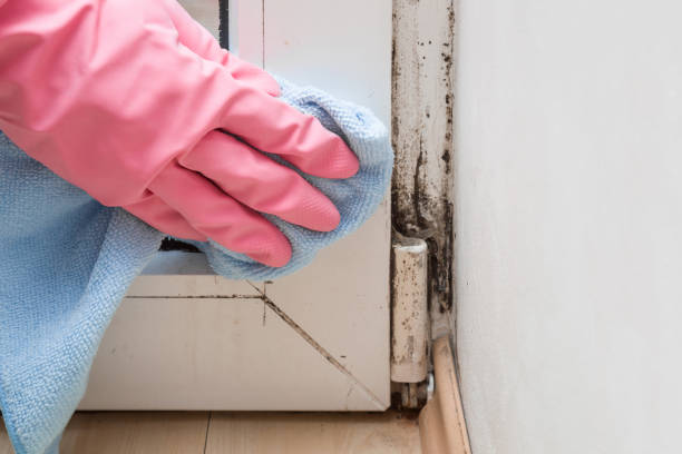 Water Damage Restoration in Portland, ME